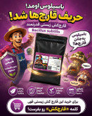 تریکوودرما و باسیلوس