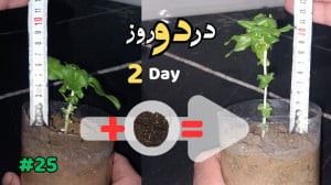 کروا ۲۵ کیلویnpks