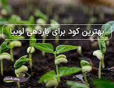 تریکو درما